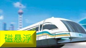 干支角度：甲辰日的特性