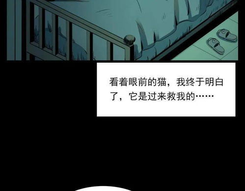 窗边摇曳的黑影