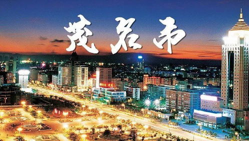 书城奇观：知识的荒原与文化的沙漠