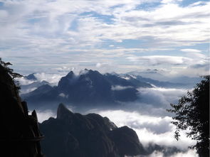 交通指南：一场惊心动魄的冒险