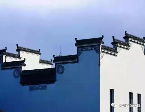 随手一拍也能出神作？