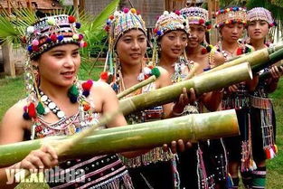 哈尼族女孩传统风俗，网红民族风体验！