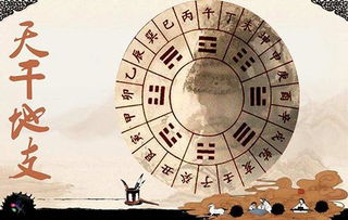 八字命理中的奥秘：杀印将合与财伤的解读