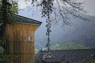 秋夜之凶——阴阳之谜