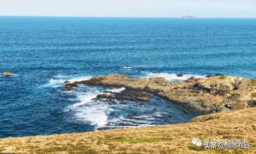 小梅沙海滨旅游区：体验东方夏威夷的魅力
