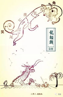 二月二龙抬头，乙木也抬头