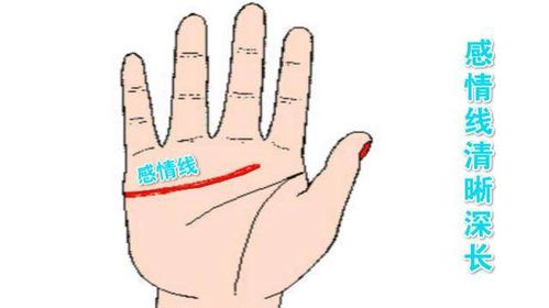 感情线的断裂与重连：爱过痛过后的重新开始