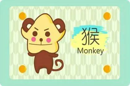 属猪女：各种被宠着