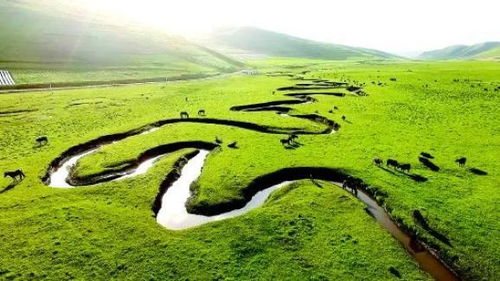 沙金风景区：勉强凑合