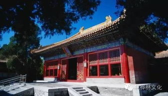 关于午餐的那些碎碎念