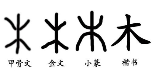 有哪些带木字旁的字适合作为名字？