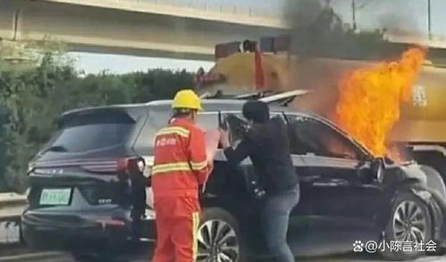 天啊！那场车祸简直把世界撕成碎片