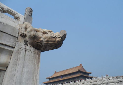 故宫的保密：宁寿宫花园