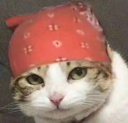 你手上的线条,嫩告诉我你内心藏着多少秘密和浪漫吗?