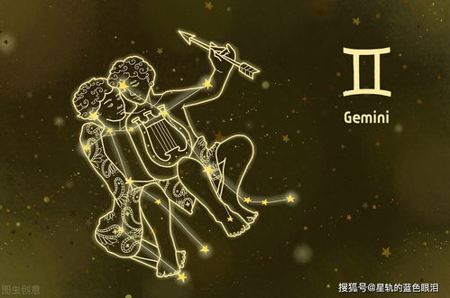 白羊男：外貌协会会长
