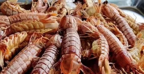 烤鱿鱼成哥：一个充满传奇色彩的小摊