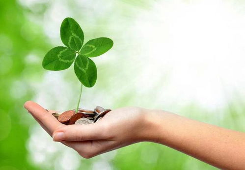 啊啊啊！五叶草！幸运还是诅咒？