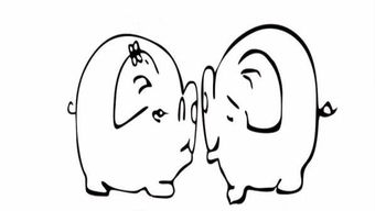 生肖属猪的正缘是哪个属相，这代表着什么含义？