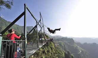 探索奥陶纪：旅行还是运动会？