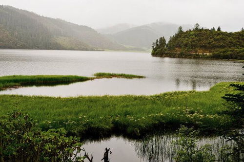 平塘县旅游攻略：不可错过的景点