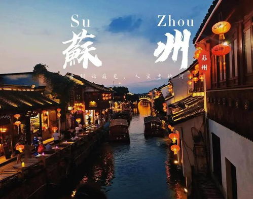 门票与购票