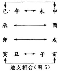 为什么要研究地支六合？