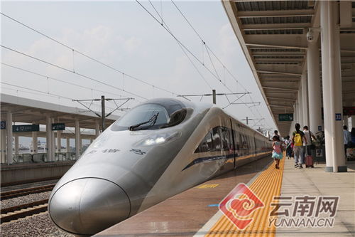案例揭秘：2023年高峰期的查询灾难