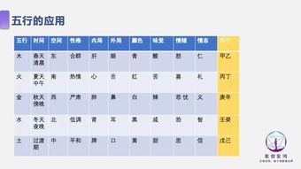 震惊！紫微斗数竟然藏着这么多秘密？2026年运势大揭秘