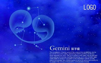 双子座和狮子座哪个星座梗具有领导力和魅力？