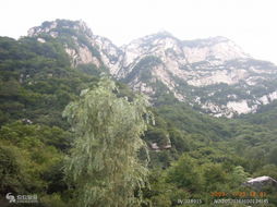 二、五岳寨景区介绍