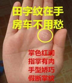 手指粗短的女人运势究竟如何？