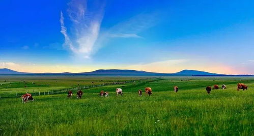 景点大赏：如何假装玩得很开心