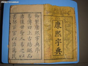 这玩意儿长啥样？