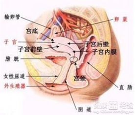 二、为哪些手摸不准？