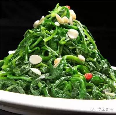 挖野菜注意事项