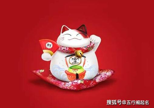 给你的建议（或者说无力吐槽）