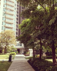 小区旁边是公园,小区旁边是公园