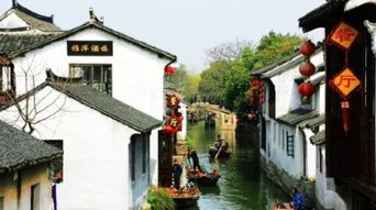 4. 沈厅 & 张厅