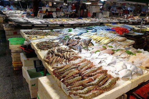 海鲜天堂，种类繁多