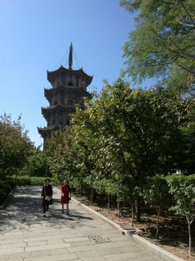 起点：德化县的早晨