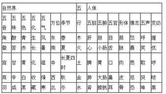 姓名学中的五行原理
