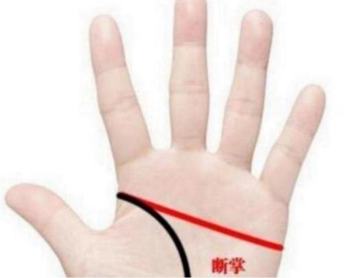 哪些是“断掌”？——从表面到内在