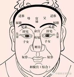 眼睛：心灵的窗户，  健康的晴雨表