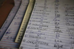 第三章: 哈佛教授与韦伯大师的命运启示录