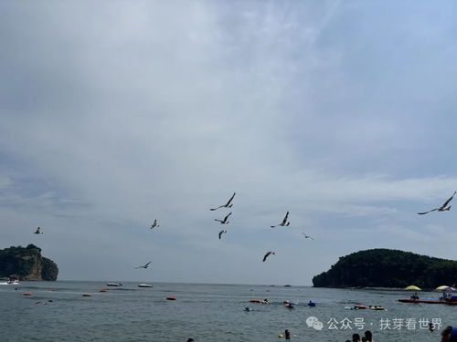 温馨提示：蚊虫较多