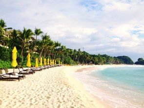 那些个“必玩项目”里藏着三个让你后悔的坑