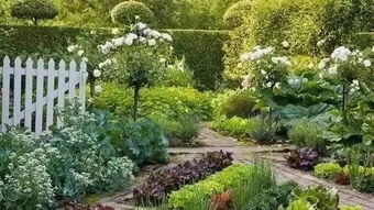 风水在景观中起到的作用大不大？