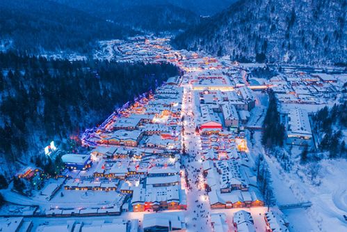 2. 雪蘑菇家族：天然界最懒散的一群