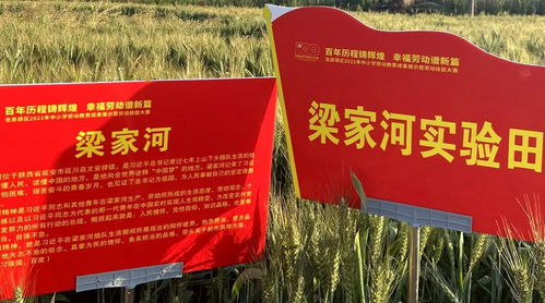 景点推荐， 不容错过的美景（或着是幻觉）