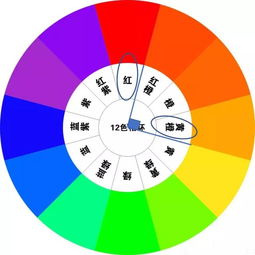 三·二 五行配色大乱斗（颜色随意）